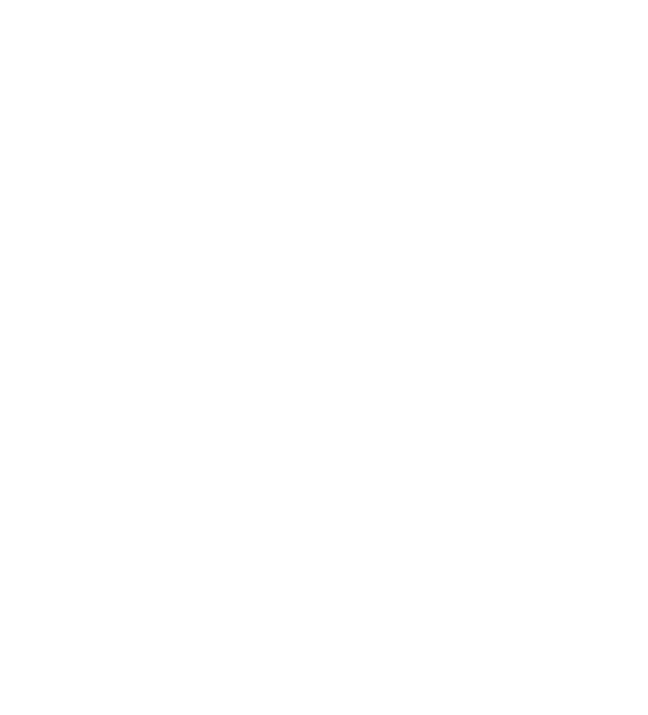 webmühle