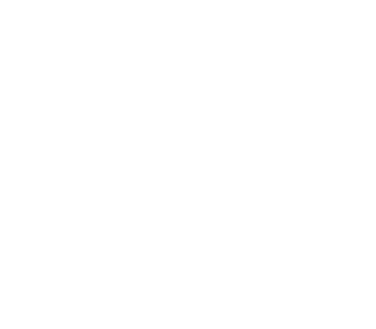 Clemens Hillinger