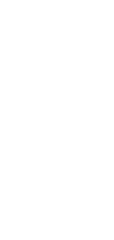 Irreiter